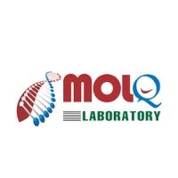 MolQ Laboratory
