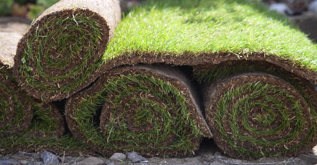 Spooners Turf