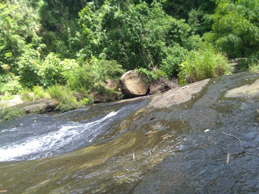 Candelario B.
