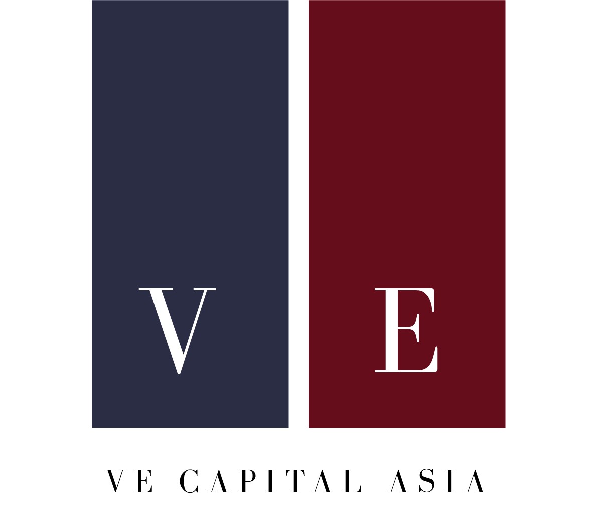 VE Capital Asia