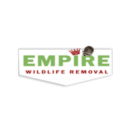 Richmond Hill Wildlife Removal