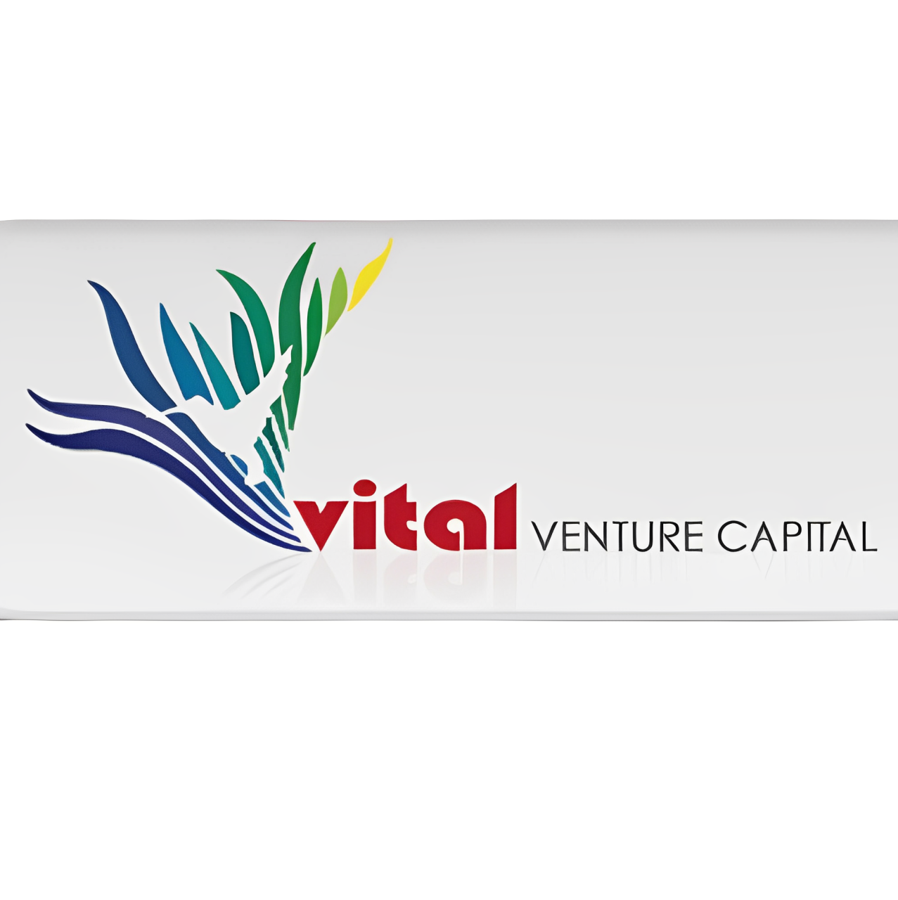 Vital Venture Capital