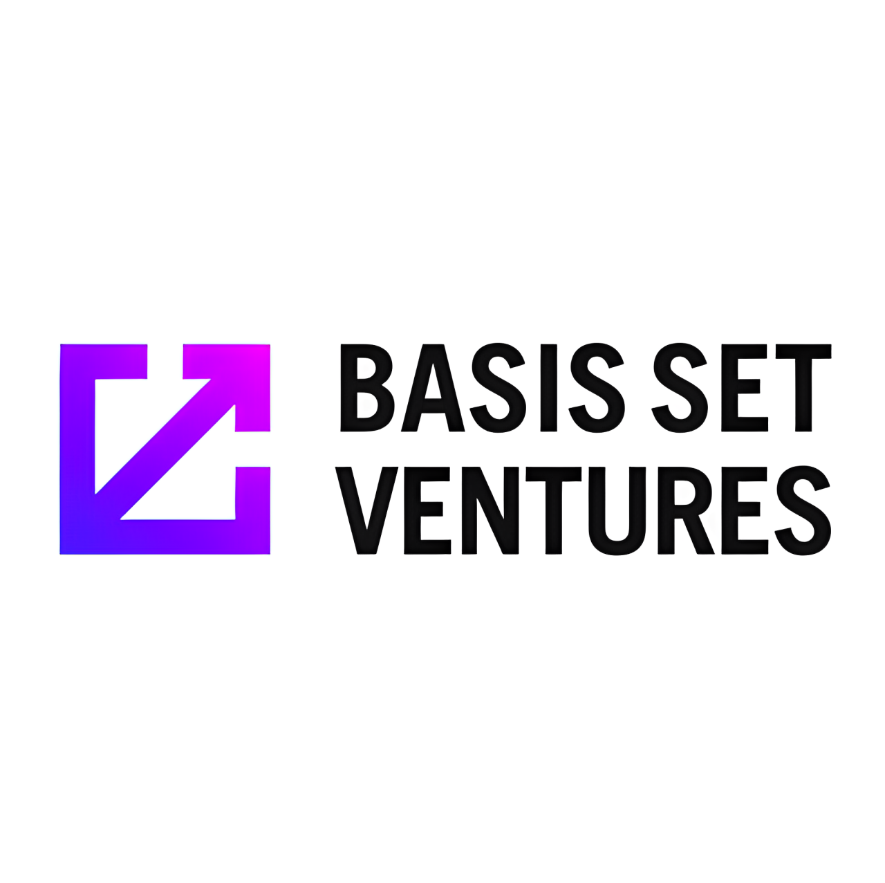 Basis Set Ventures