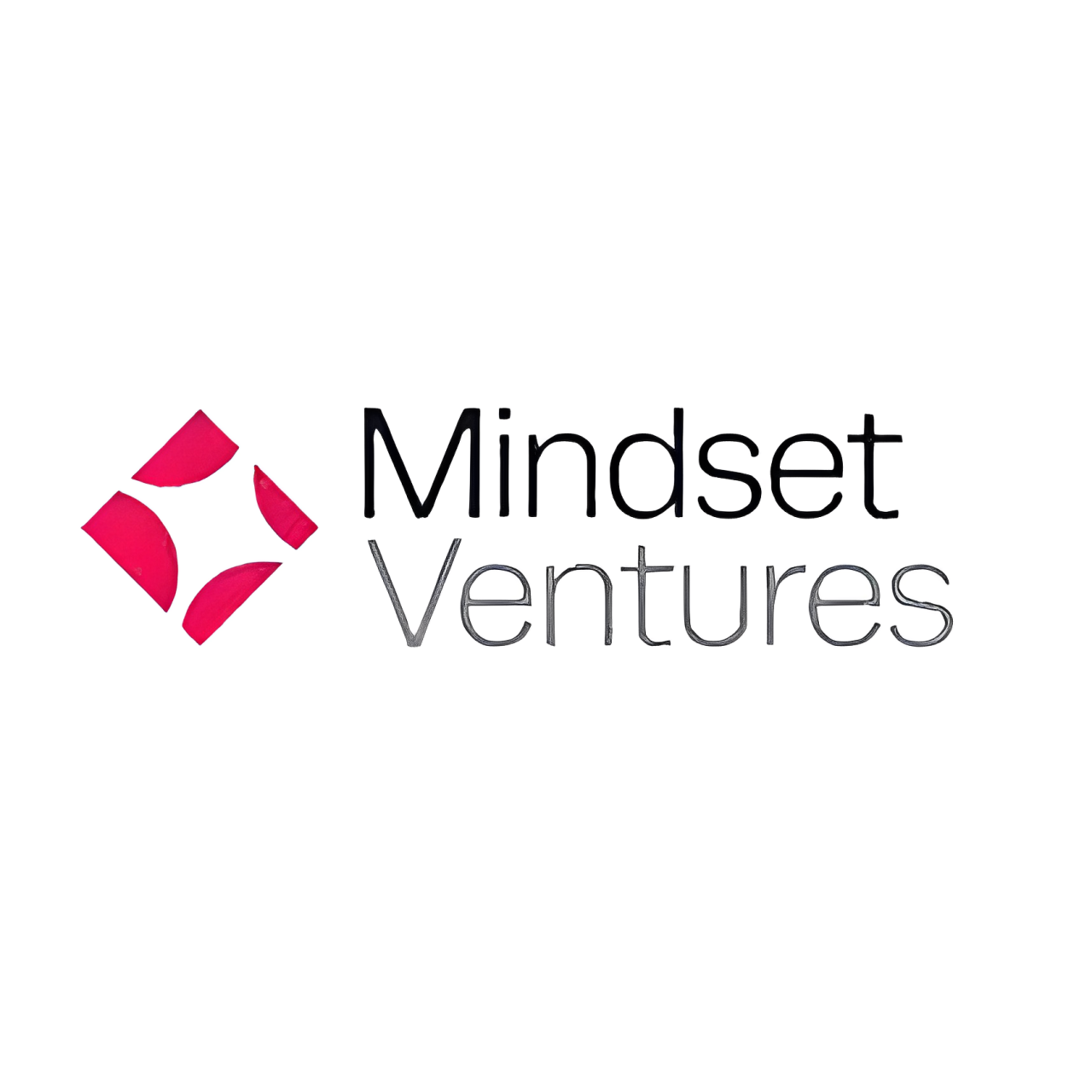 Mindset Ventures