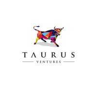 Taurus Ventures