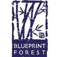 Blueprint Forest