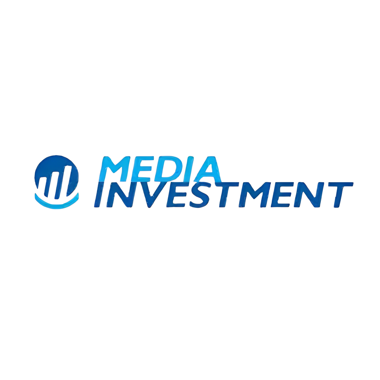 Media Investment