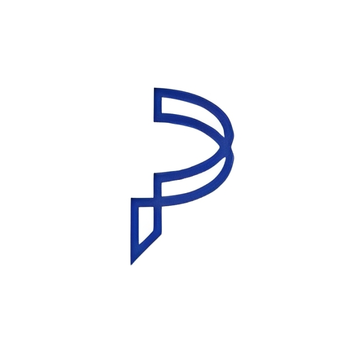 Palindrome LLP