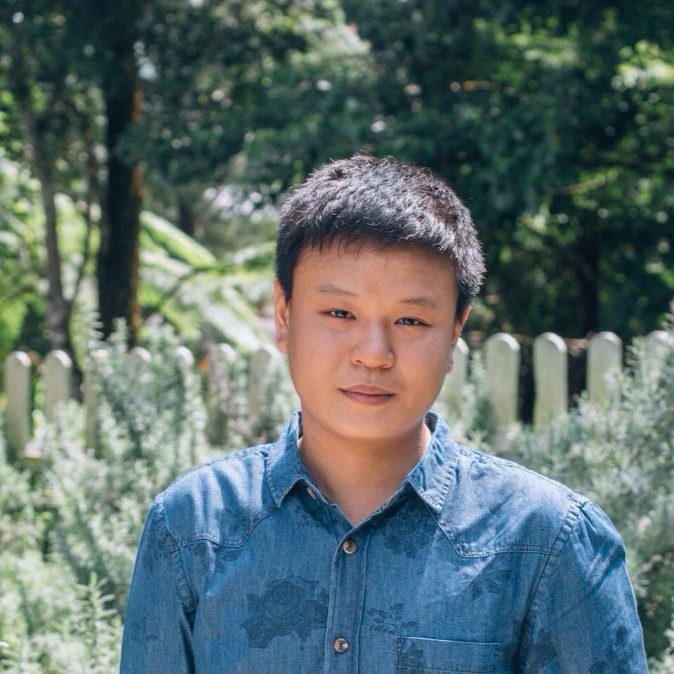 Chip Dong Lim