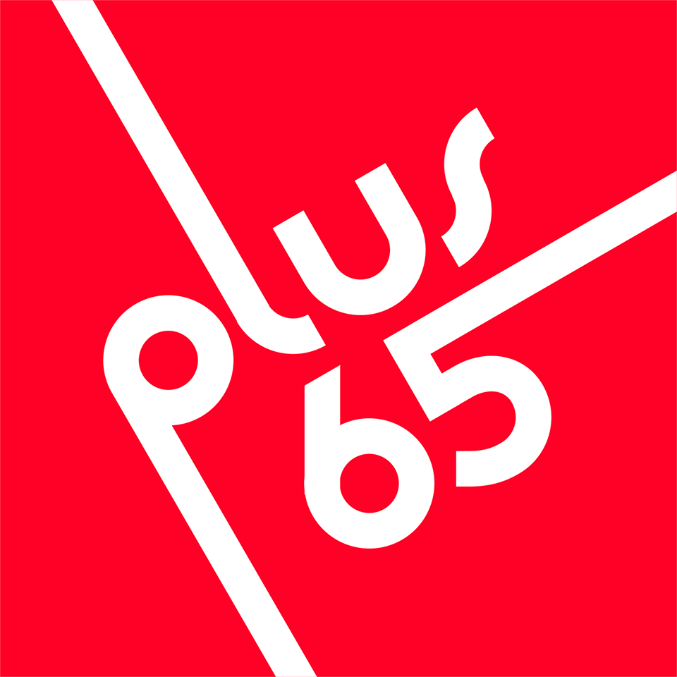 Plus65 Interactive