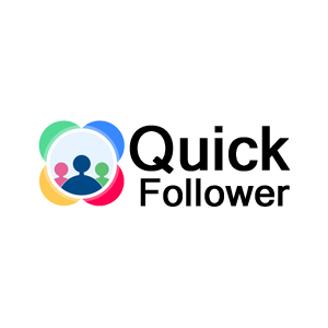buyinstagramfollowersq