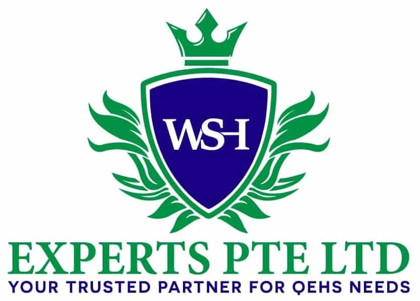 WSH EXPERTS PTE LTD