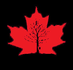 Red Maple Creative
