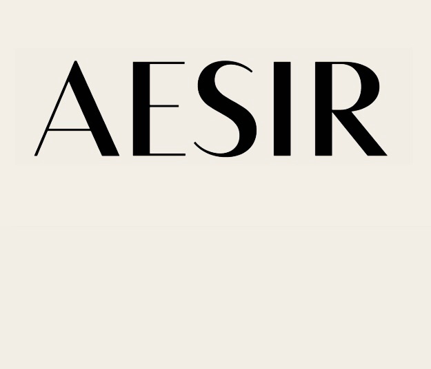 Aesir Fine Art