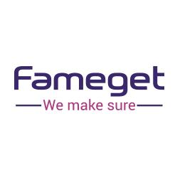 Fameget Consultants Pvt. Ltd.